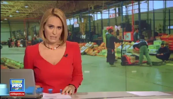 Metoda prin care statul a fost prejudiciat cu 24 de milioane de euro.