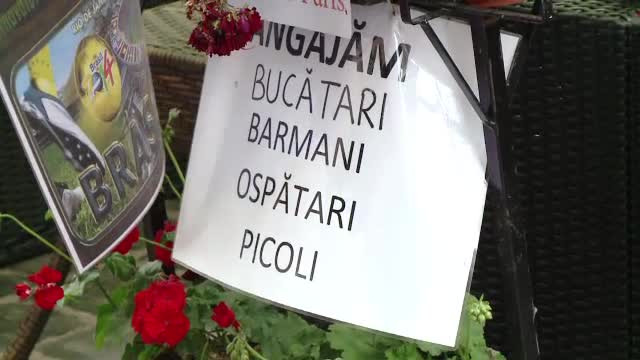 Statul plateste companiile pentru a-i angaja pe elevi pe timpul verii. "Oricum acasa nu aveam nimic de facut"