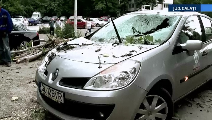 600 de oi, ucise de fulgere in Retezat. Masini si case, distruse de grindina. Vijeliile au facut prapad in tara