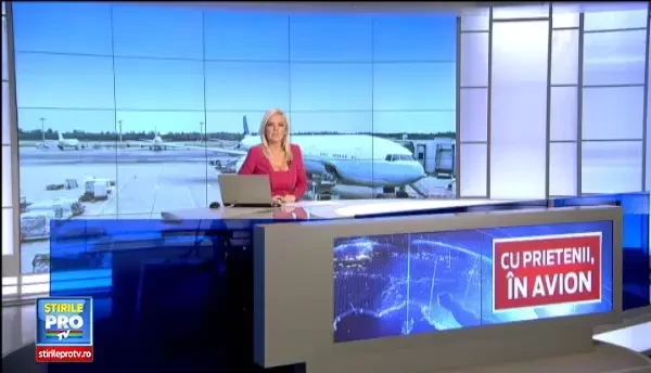 Companiile aeriene va accepta animalul preferat la bord. Taxele si conditiile in care patrupedul scapa de cala avionului