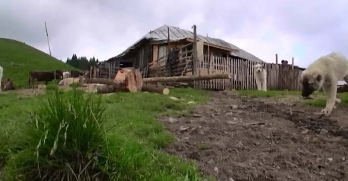 Cat costa o masa la o stana din creierii muntilor. Secretul succesului unei afaceri de sezon