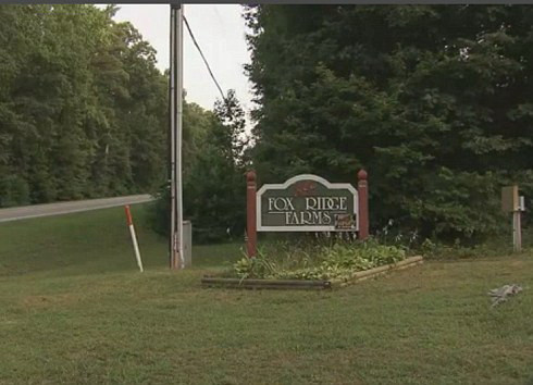 A nascut in casa parintilor fara ca ei sa stie ca e insarcinata. Gestul facut de adolescenta dupa ce si-a vazut bebelusul