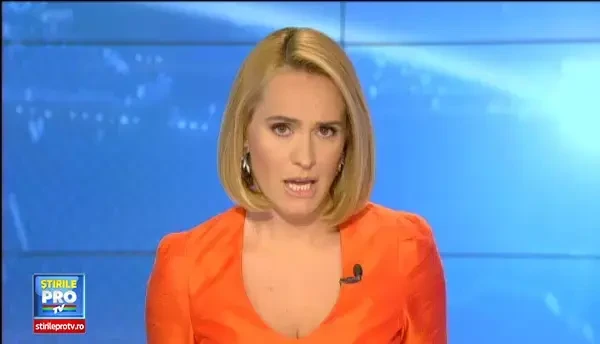 Hotii de tablouri din Carcaliu isi vor plati isprava de 18 mil. de euro. Muzeul le ia casele si 30% din leafa pana la moarte