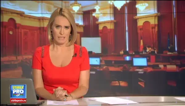 Blaga a anuntat numele noului partid care va rezulta din fuziunea PNL-PDL. Cand va fi anuntat candidatul la prezidentiale