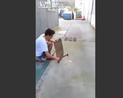 Ce se intampla cand un tanar loveste cu un ciocan bateria de la telefon. VIDEO cu momentul