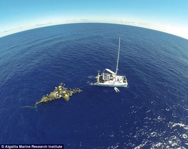 "Al Saptelea Continent este de plastic". Insulele permanente de gunoaie, explorate cu dronele in Pacific