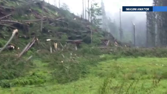 55 de hectare de dezastru natural. O furtuna pe care martorii au numit-o tornada a distrus o padure din judetul Suceava