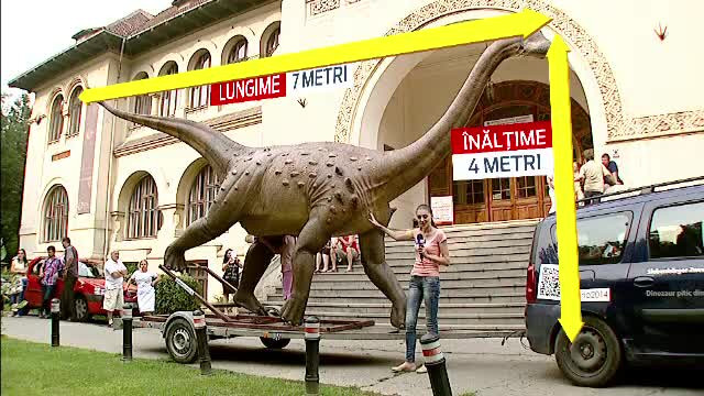 Magyarosaurus, dinozaurul care zburda prin Transilvania acum 70 de mil. de ani. O macheta uriasa va ajunge in Tara Hategului