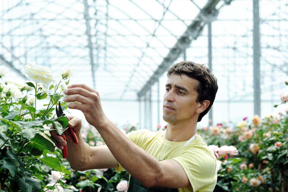 (P)Pentru romani, o meserie de viitor trebuie sa-ti aduca bani in prezent. Tot mai multi tineri viseaza la "gulerul albastru"