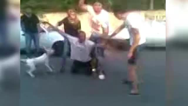 "CULCAT!". Politistii strigau la suspect, suspectul striga la caine. Scandal la ridicarea pentru audieri a unui bucurestean