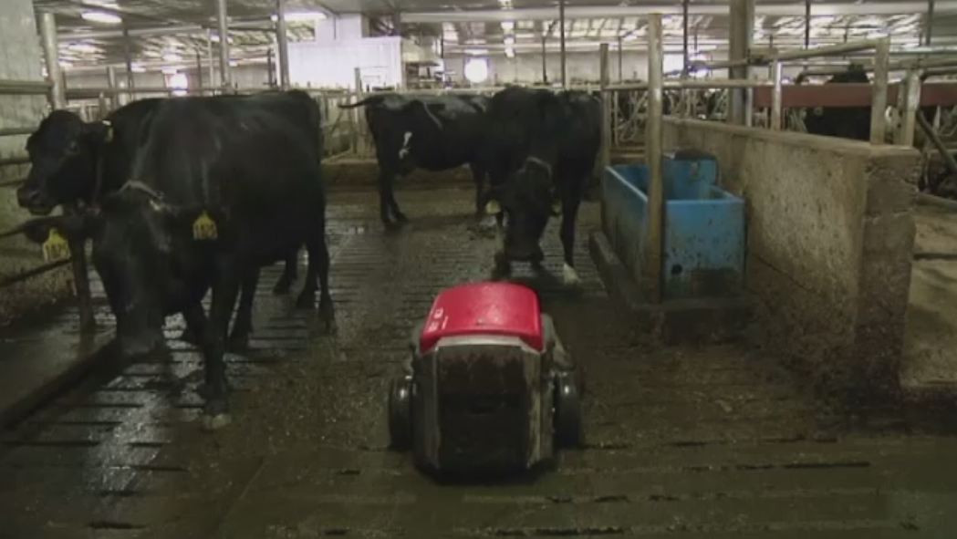 Fermele inteligente, viitorul agriculturii. Marturiile unui agricultor din SUA care a inlocuit fermierii cu roboti