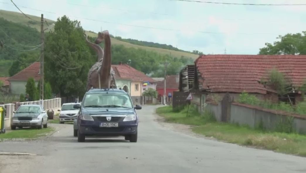 Noua vedeta a Geoparcului Dinozaurilor din Tara Hategului. Cum arata Magyarosaurus dacus