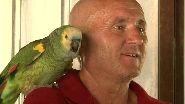 Romanul care a transformat pasiunea pentru pasarile exotice intr-o afacere de mii de euro. De ce risca sa dispara din parcuri