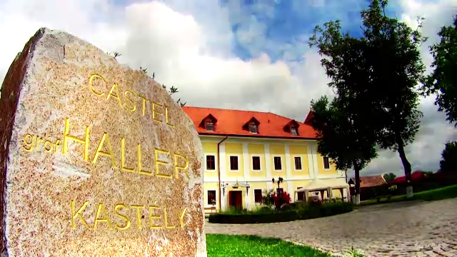 castelul hallercastelul haller
