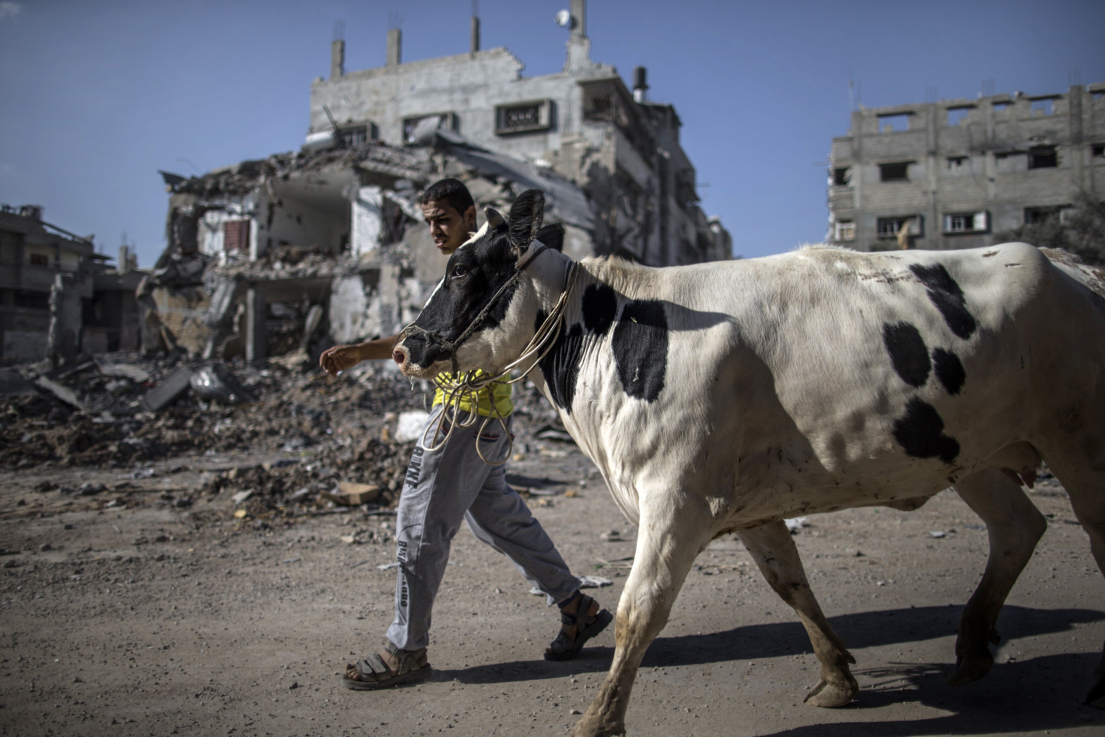 fasia gaza