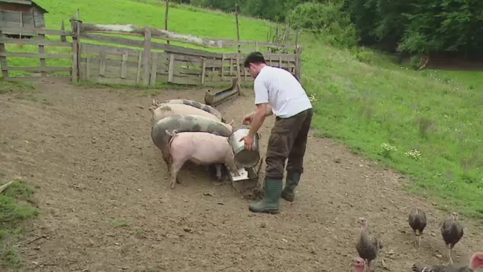 Tinerii din Ungaria care-si lasa birourile din corporatii pentru o aventura in Transilvania. Ce au aflat despre viata la tara