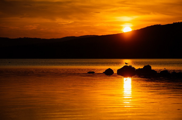 Lovitura. Suedia va recunoaste existenta acestui stat. SUA: Asa ceva e prematur