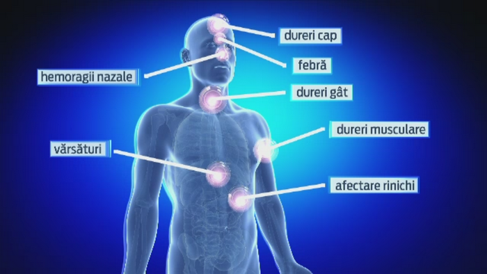 Spitalele din Romania au fost puse in garda in contextul epidemiei de EBOLA din Africa. Cum se transmite boala