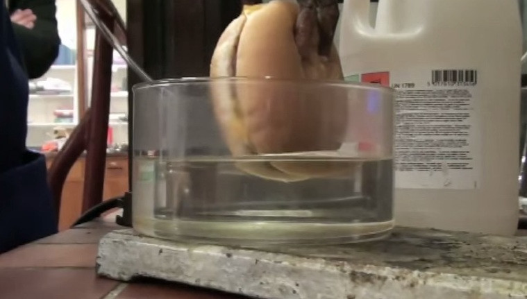 Ce se intampla cu un cheeseburger cand ajunge in stomac. Imaginile care v-ar putea face sa nu mai mancati niciodata asa ceva