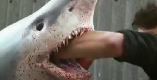 Gluma pusa la cale de producatorii filmului Sharknado 2. Ce se intampla cand un rechin "invie" intr-un magazin de peste