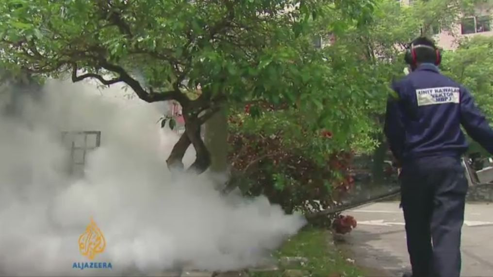 MAE: Risc de infestare cu febra dengue in Malaezia. Se recomanda purtarea de maneci si pantaloni lungi