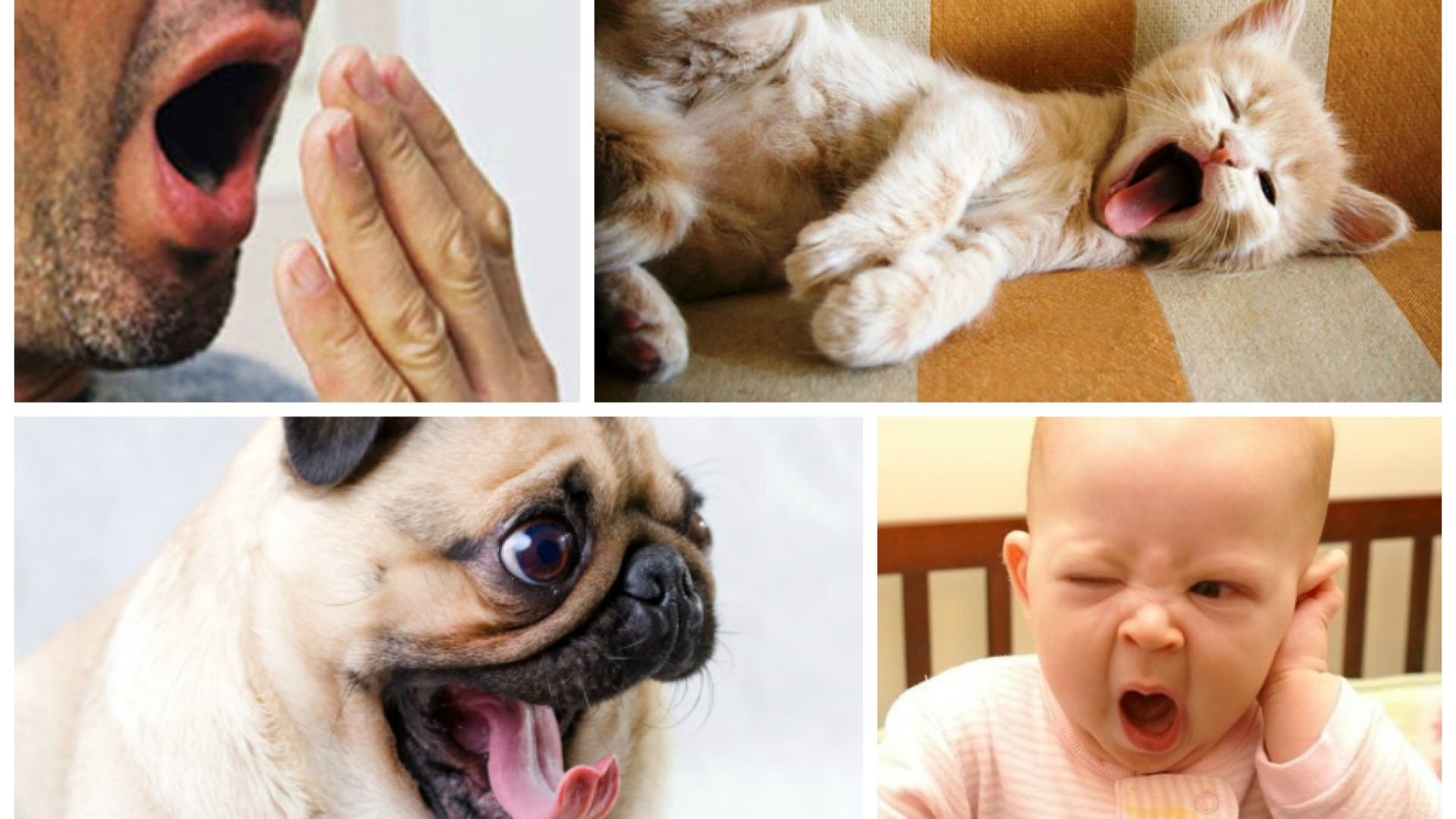 Cinci mistere pe care stiinta nu le poate rezolva. De la efectul placebo, la motivele pentru care cascam