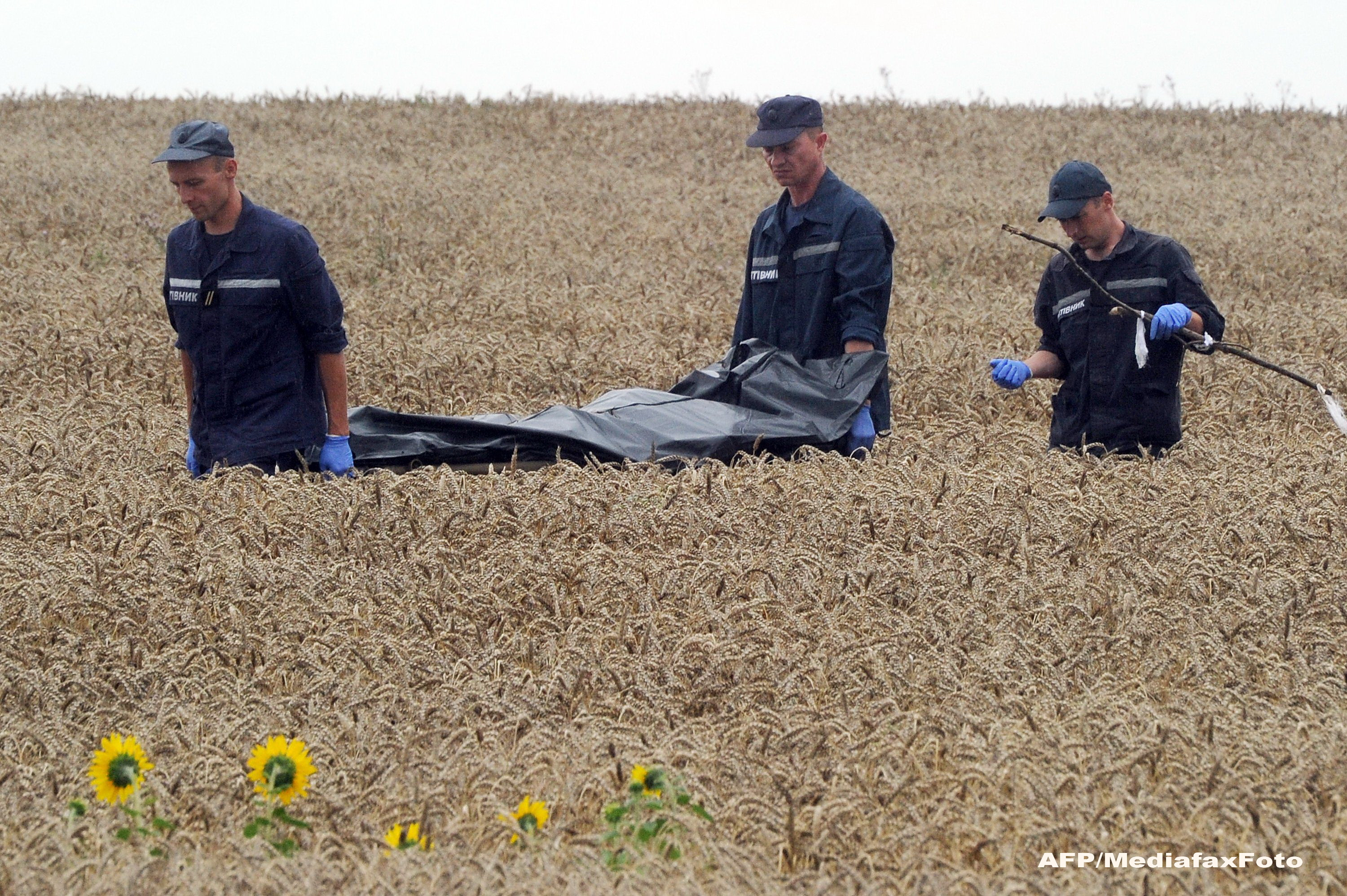MH17 Malaysia Airlines