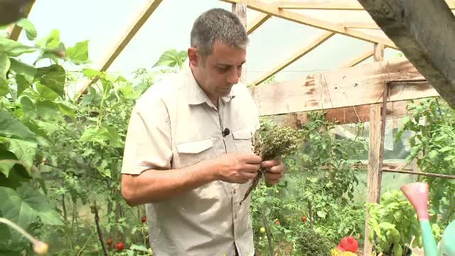 "Romania e un Paradis!" Un maestru bucatar, premiat si recunoscut in toata lumea, a lasat Franta pentru o comuna romaneasca