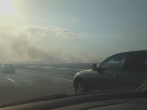 Incendiu pe Autostrada Soarelui. "Fumul era atat de gros si des incat nu se vedea nici botul masinii". IMAGINI EXCLUSIVE