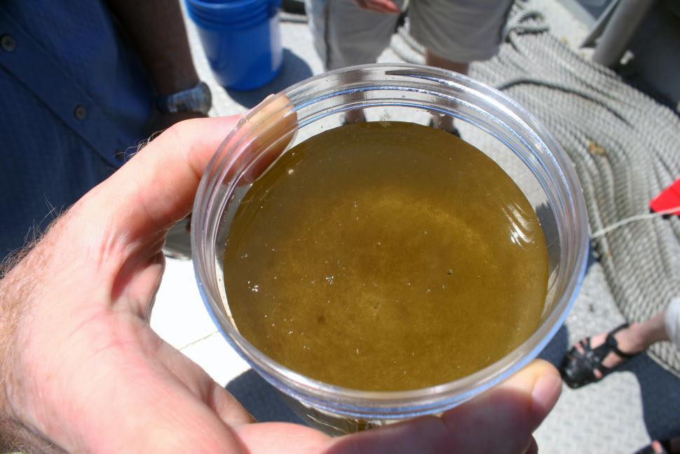 Stare de urgenta in statul american Ohio. Sute de mii de locuitori, avertizati sa NU mai consume apa de la robinet