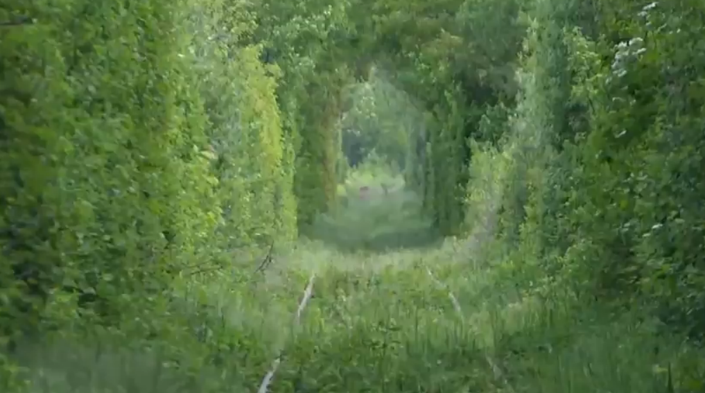 Tunelul Iubirii. Necunoscut pentru romani, un loc magic din tara este trecut de straini pe lista "comorilor ascunse" din UE