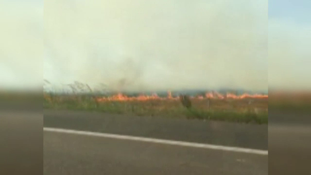 Pe urmele vinovatilor pentru incendiul care a blocat Autostrada Soarelui. Incendierea miristei, ilegala, dar practicata