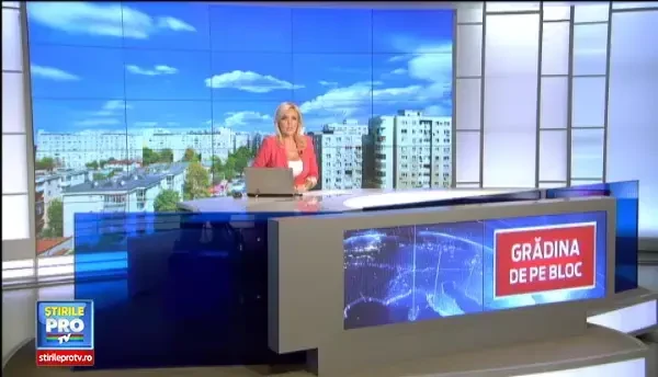 Castraveti, rosii si patrunjel, direct de pe bloc. Avantajele nebanuite ale gradinilor suspendate pe terase