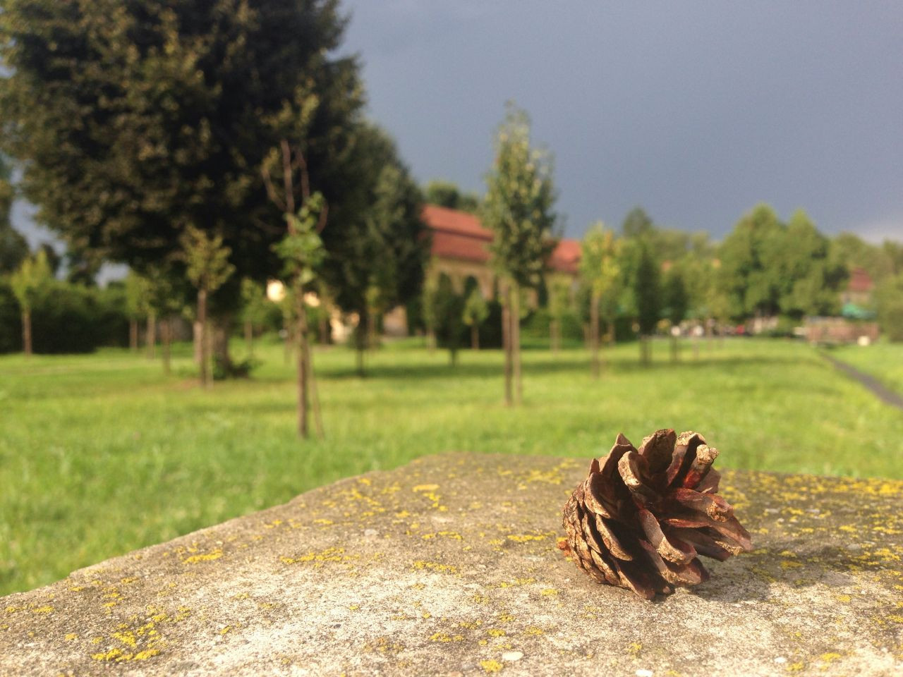 Romania Frumoasa. Poza zilei: Avrig - o oaza de liniste