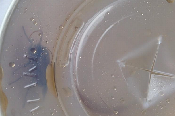 Experienta neplacuta pentru un cuplu din Marea Britanie. Ce au gasit in paharul de suc cumparat de la KFC