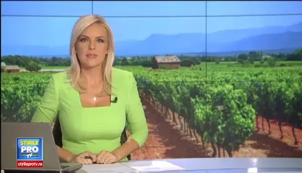 Satul in care nu exista saracie. Lectia primita de romani de la francezii din Champagne, locul unde vinul