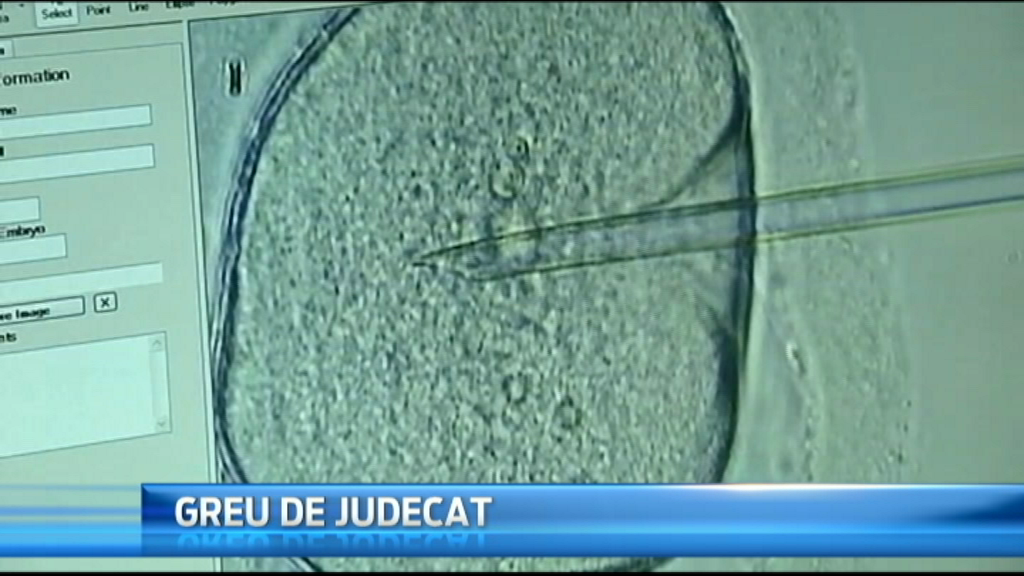 Unei femei i-au fost implantati embrionii altui cuplu. La cine au ramas, intr-un final, copiii gemeni