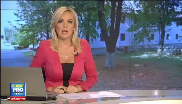 13 credinciosi, greu incercati in drumul spre manastirea Mihai Voda. Oamenii au fost atacati de un roi de viespi uriase