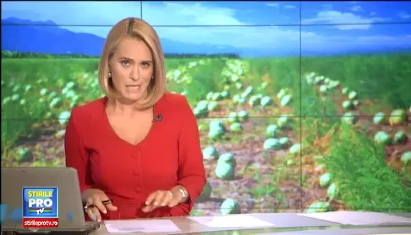 Sahara Olteniei, locul care se transforma in desert in lipsa irigatiilor. Soiurile tropicale, inghesuite printre pepeni