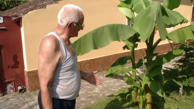 Valul de caldura din ultima vreme a ajutat la transformarea unui sat din Romania intr-un loc exotic. Ce au cultivat oamenii