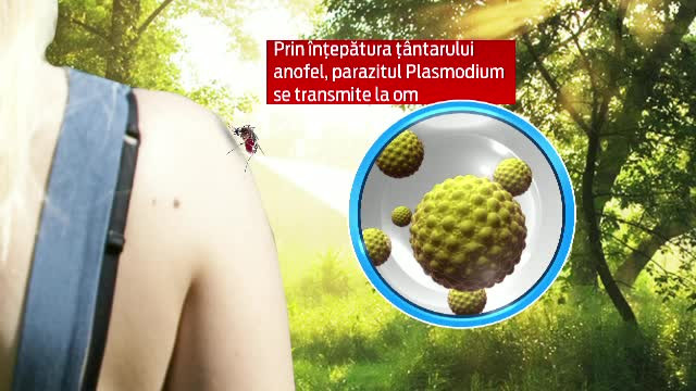 Romanul care s-a intors bolnav de malarie din Nigeria se lupta pentru viata sa. Ce sanse are sa supravietuiasca