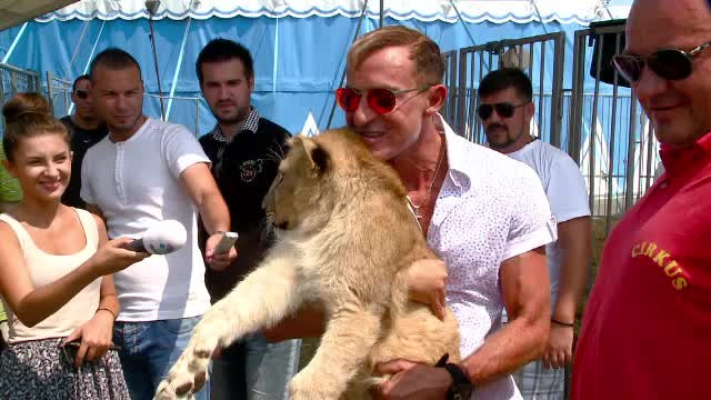 Radu Mazare, pregatit sa defileze in chip de faraon, insotit de lei si camile. Cine sunt Aramis, Portos, Xena si D'Artagnan