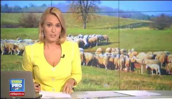 Ce mancam, de fapt, atunci cand cumparam branza de burduf. Ministerul Agriculturii vrea o delimitare clara a produselor