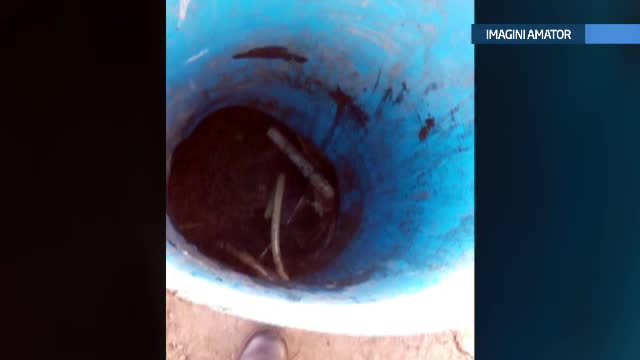 Tragedie in Bistrita Nasaud, unde doi barbati au murit incercand sa desfunde o fosa septica