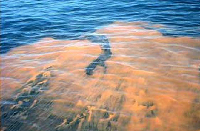 Fenomen ingrijorator: Mareea rosie care ameninta una dintre cele mai frumoase plaje din lume! FOTO