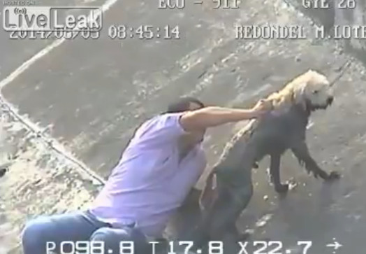 Gest demn de toata admiratia. Un barbat a salvat de la moarte un caine, prins intr-un bazin de acumulare