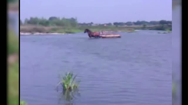 Imagini cu puternic impact emotional. Un individ fara suflet loveste cu salbaticie un cal, care nu mai putea trage o caruta