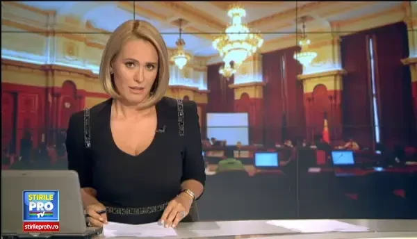 Elena Udrea a fost desemnata candidatul PMP la alegerile prezidentiale din 2014