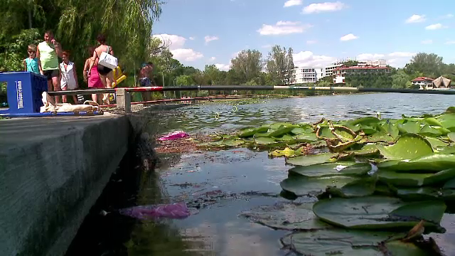 Lacurile din statiunile de pe litoral, lasate sa moara de nepasarea autoritatilor. Nuferii de la Neptun se ofilesc in gunoi