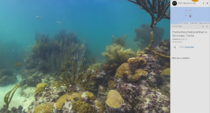 La un click distanta de fundul oceanului. Proiectul pregatit de gigantul Google